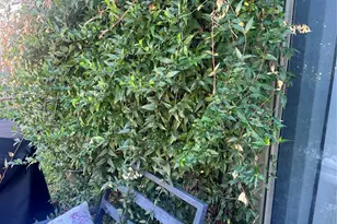 12031 Kleinmeadow Dr, Houston, TX 77066 - Photo 19