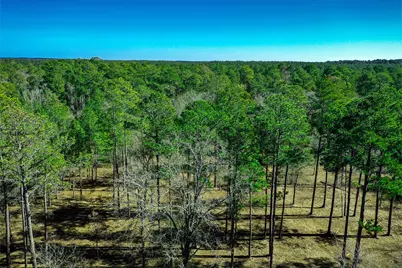 97 Utley Road, Huntsville, TX 77320 - Photo 9