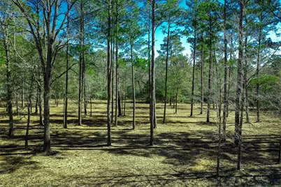 97 Utley Road, Huntsville, TX 77320 - Photo 7