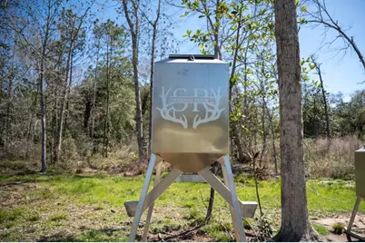 2489 Fm 256 S, Woodville, TX 75979 - Photo 21