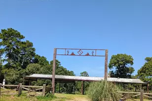 15662 County Rd 304, Navasota, TX 77868 - Photo 1