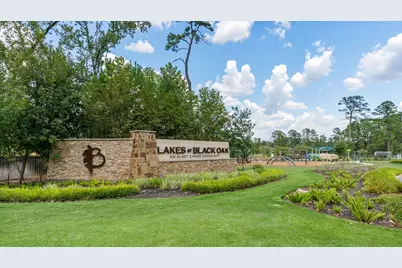 135 Courageous Side Way, Magnolia, TX 77354 - Photo 29
