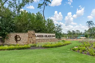 135 Courageous Side Way, Magnolia, TX 77354 - Photo 29