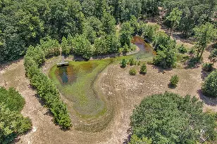 10173 Crockett Martin Rd, Conroe, TX 77306 - Photo 9