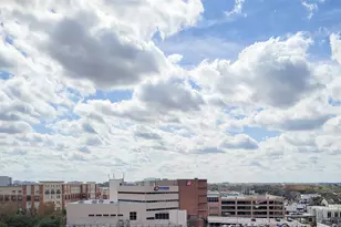 2520 Robinhood, Houston, TX 77005 - Photo 37