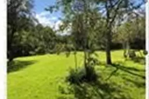 190 Briar Mdws Dr, Coldspring, TX 77331 - Photo 5
