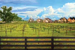 3018 Elderberry Orchard Street, Richmond, TX 77406 - Photo 7