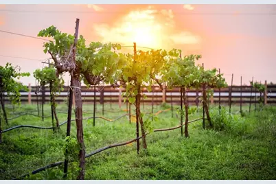 3018 Elderberry Orchard Street, Richmond, TX 77406 - Photo 9