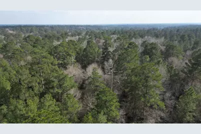 Lot 10 Winchester Road, Huntsville, TX 77340 - Photo 31