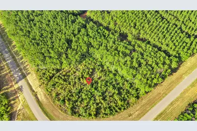 16086 Forest Mill Road, Willis, TX 77378 - Photo 5