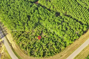 16086 Frst Ml Rd, Willis, TX 77378 - Photo 5