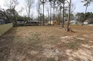 21812 Cherry St, New Caney, TX 77357 - Photo 3