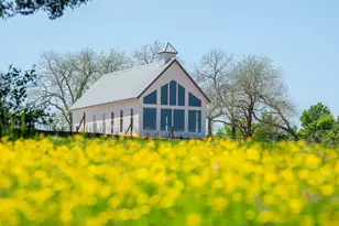 10025 Larkin Cv, Willis, TX 77318 - Photo 15