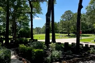 2 Harmony Arbor Ct, The Woodlands, TX 77382 - Photo 5