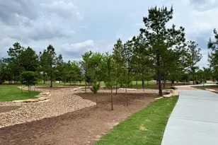 26762 Frontier Trace Drive, Montgomery, TX 77316 - Photo 37