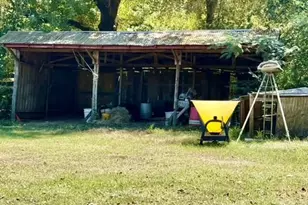 1684 Co Rd 1050, Crockett, TX 75835 - Photo 25