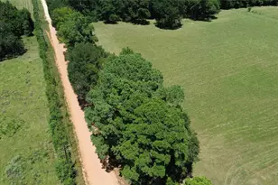 1684 Co Rd 1050, Crockett, TX 75835 - Photo 3