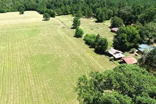1684 Co Rd 1050, Crockett, TX 75835 - Photo 1