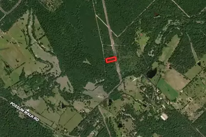 1.5 Acres Dipping Vat Road, New Waverly, TX 77358 - Photo 5