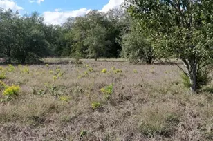 1700 Jackson Rd, La Grange, TX 78945 - Photo 1