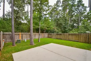 46 E Stedhill Loop, Conroe, TX 77384 - Photo 29