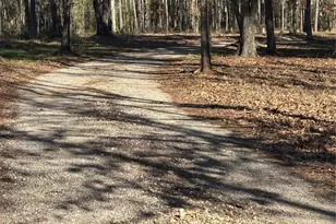 765 Fm 2781, Lovelady, TX 75851 - Photo 3