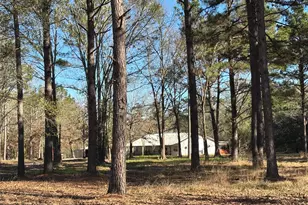 765 Fm 2781, Lovelady, TX 75851 - Photo 5