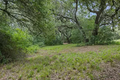 Tbd Drake Lane - Lot 26, Round Top, TX 78954 - Photo 5