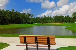 115 Cherry Oak Ln, Montgomery, TX 77316 - Photo 43