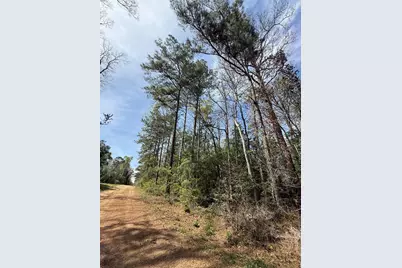 Tbd Glenn Barber Dale Evans Road, Livingston, TX 77351 - Photo 5