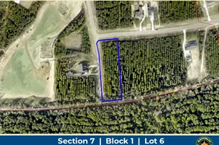 12606 Oak Barrel Rd, Willis, TX 77378 - Photo 1