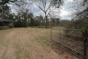 25620 Coleman Dr, Splendora, TX 77372 - Photo 25