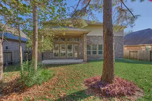 163 Reese Run St, Montgomery, TX 77316 - Photo 47