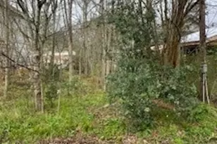 11445 Underwood St, Willis, TX 77318 - Photo 3