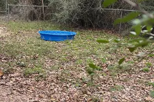 307 Cr 3003, Newton, TX 75966 - Photo 9