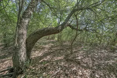 Tbd Cedar Hill Road, Brenham, TX 77833 - Photo 11