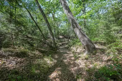 Tbd Cedar Hill Road, Brenham, TX 77833 - Photo 9