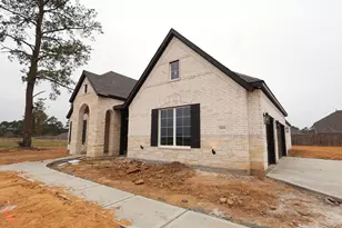 21703 Hibiscus Hedge Trl, Tomball, TX 77447 - Photo 11