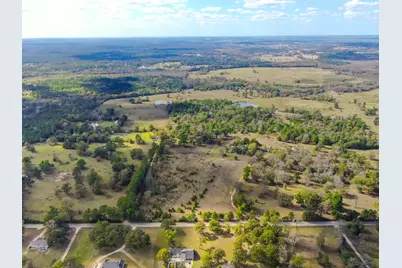 280 Acres Spring Branch Road, Montgomery, TX 77316 - Photo 7