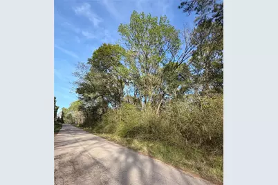 Tbd Jackson Road, Coldspring, TX 77331 - Photo 3