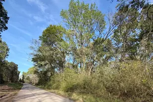 Tbd Jackson Rd, Coldspring, TX 77331 - Photo 1
