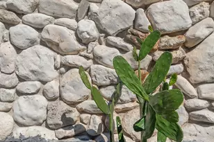 935 Byrne St, Houston, TX 77009 - Photo 27