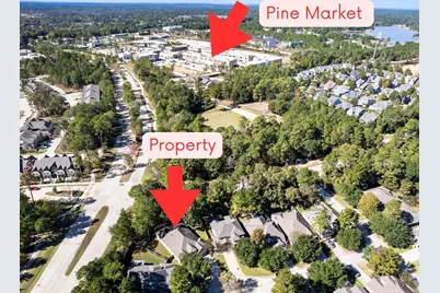 118 Forest Elk Place, Montgomery, TX 77316 - Photo 3