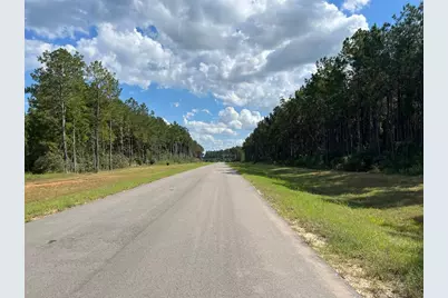 16023 Ridge Oak Road, Willis, TX 77378 - Photo 7