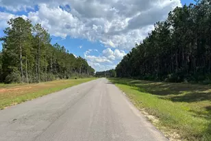 16023 Ridge Oak Rd, Willis, TX 77378 - Photo 7