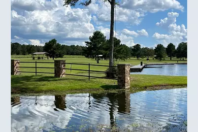 16023 Ridge Oak Road, Willis, TX 77378 - Photo 3