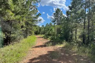 16023 Ridge Oak Rd, Willis, TX 77378 - Photo 5