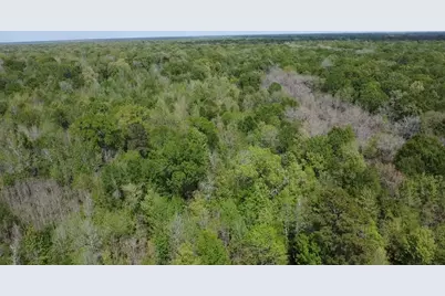 7571 County Road 2252, Cleveland, TX 77327 - Photo 7