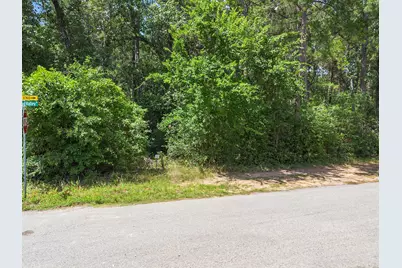 23717 Pinewood Valley Drive, Hockley, TX 77447 - Photo 9
