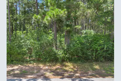 23717 Pinewood Valley Drive, Hockley, TX 77447 - Photo 9